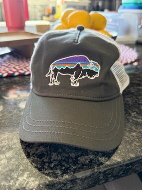 Patagonia hat in grey, white, and a blue adjustable snapback closure